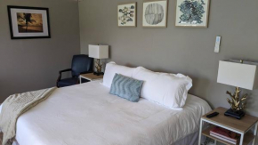 Quiet Condo close to Laguna Madre -B